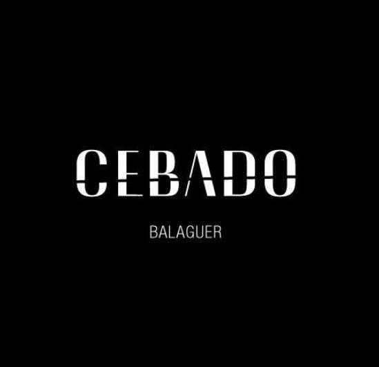 Peluquerías En Balaguer