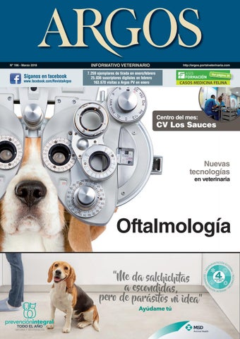 Nala Peluqueria Canina