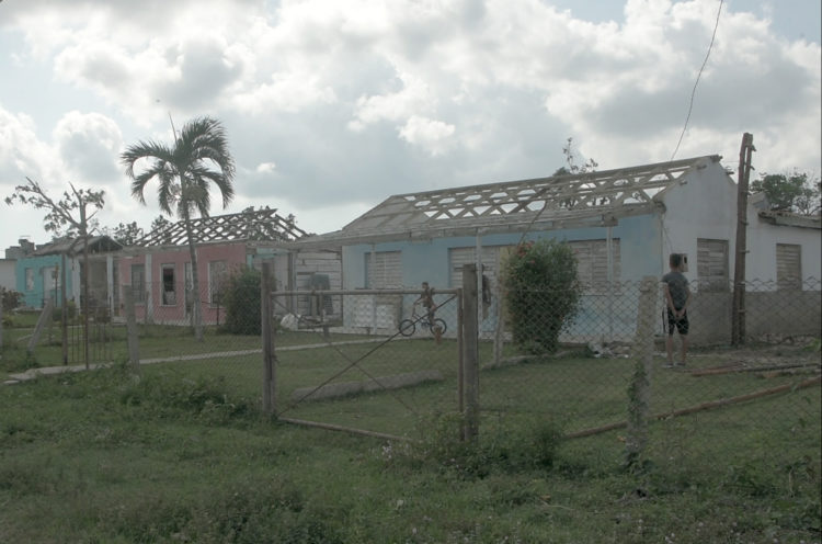 Yolanda Pinar